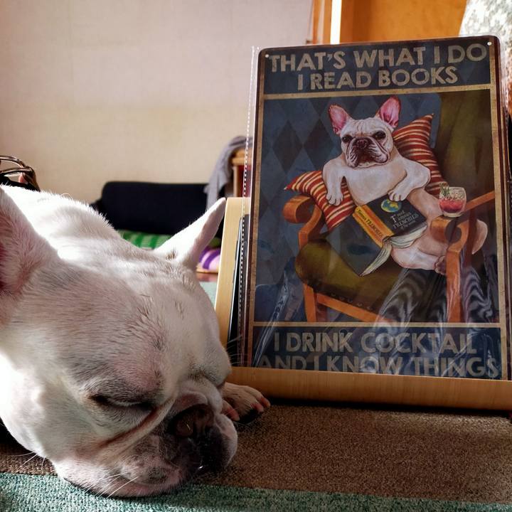 5f57ffb8 8754 49c5 9c9d c68314c698b2 1649027138868