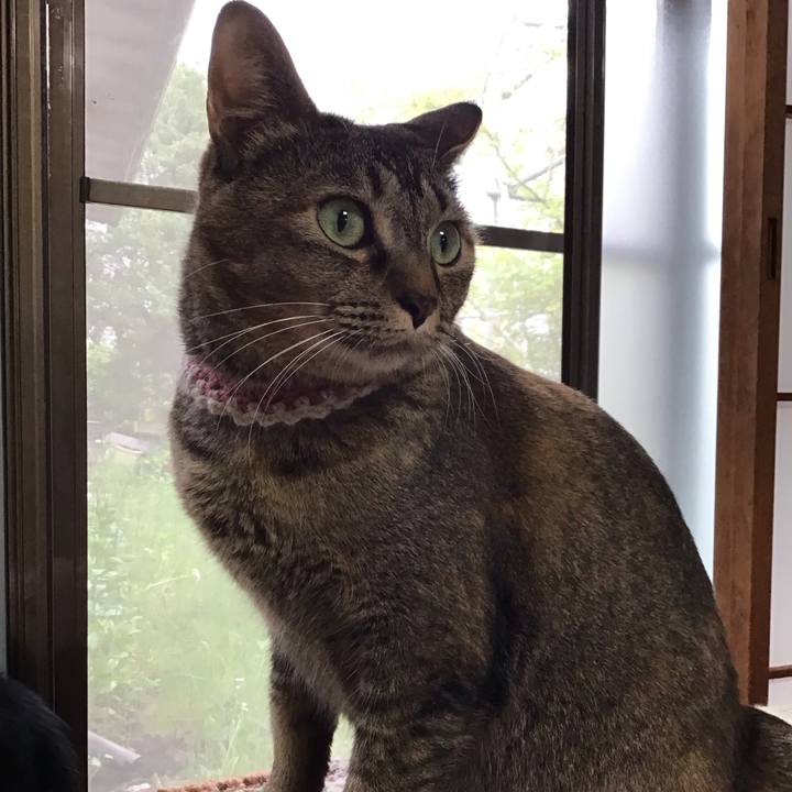 5f583481 75d9 40ad 87e1 1000dbef3f05 1650782309882