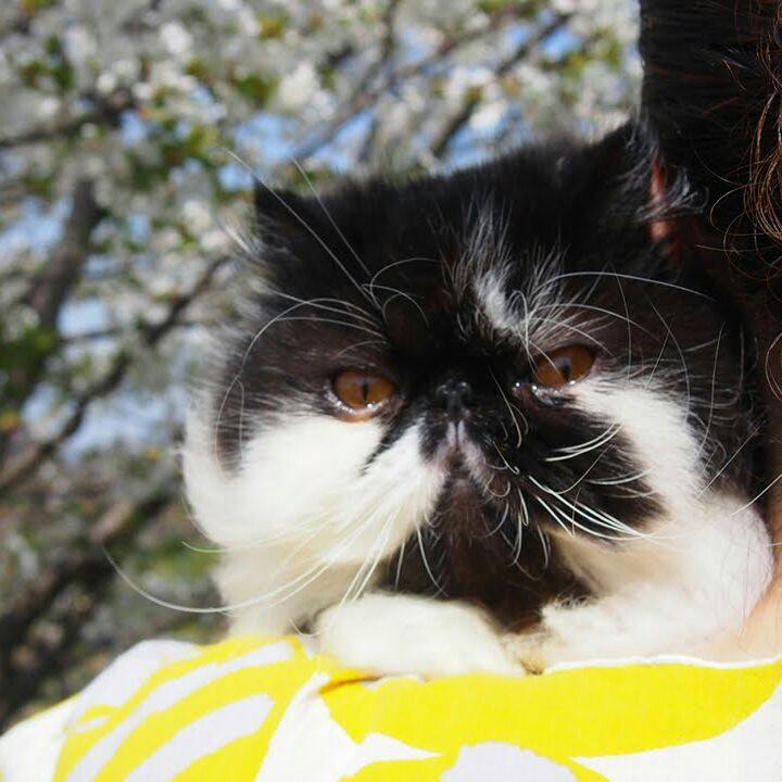 5f5850be 7ff8 4fd8 a0cd a24bbaa6f610 1522582985966