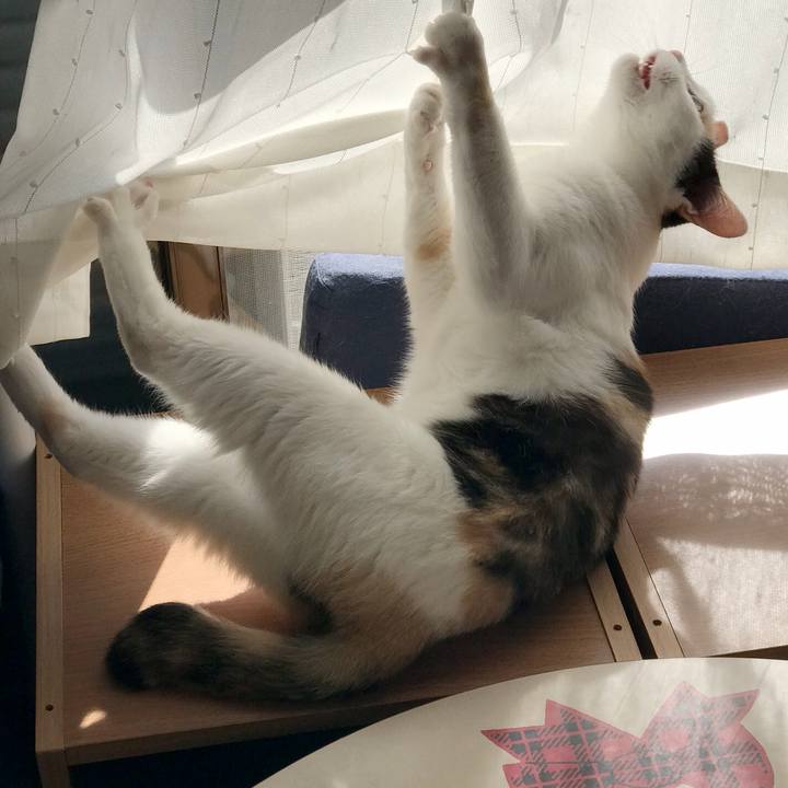 5f5877a1 d2c5 408c b8ca eecb341ee329 1534121382596