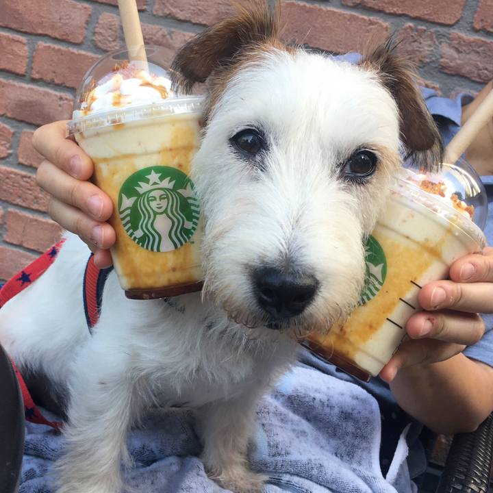 5f588d36 9533 47ea a0c6 443e24f77a10 1664731685067