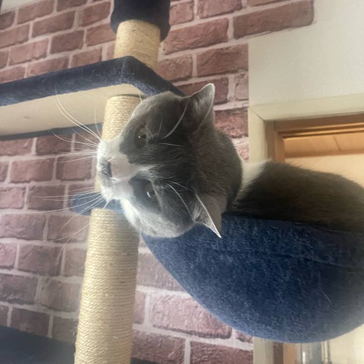 5f58aac7 a0f7 4871 8798 2498547e0a6e 1683758860752