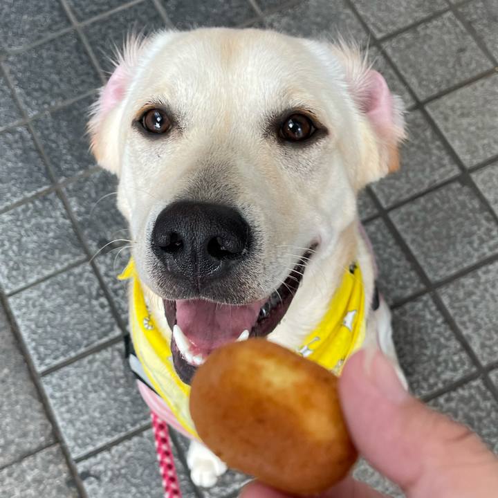 5f58b250 ea38 4fd7 accd 6409a2ee43b1 1627742336203