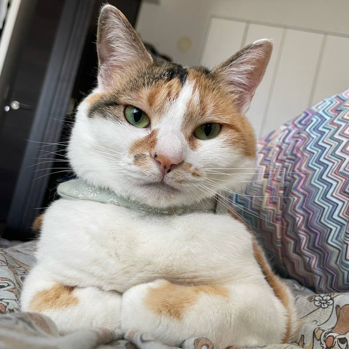 5f592990 39ab 4846 a737 21580d8e276f 1684627747724