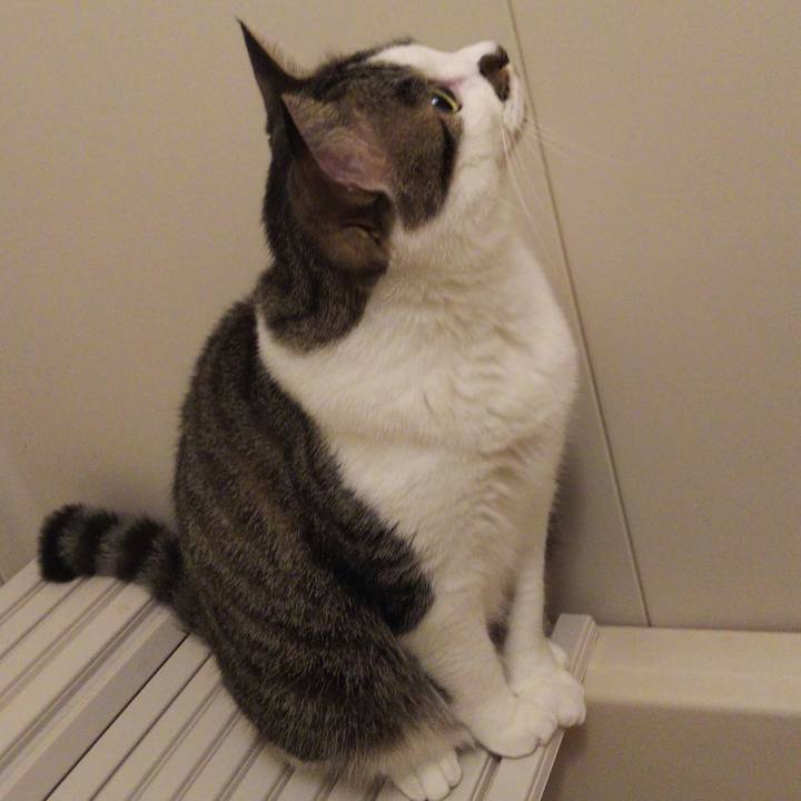 5f594dc2 383a 48b1 8030 bba1843ed4a3 1654606588553