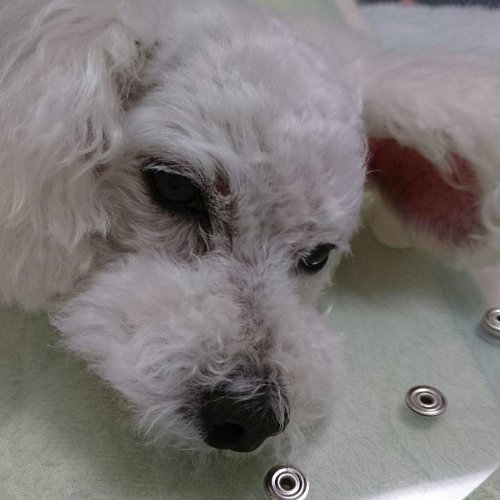 5f597da7 494b 428f 821e 27a64b2b8e9e 1536756094689