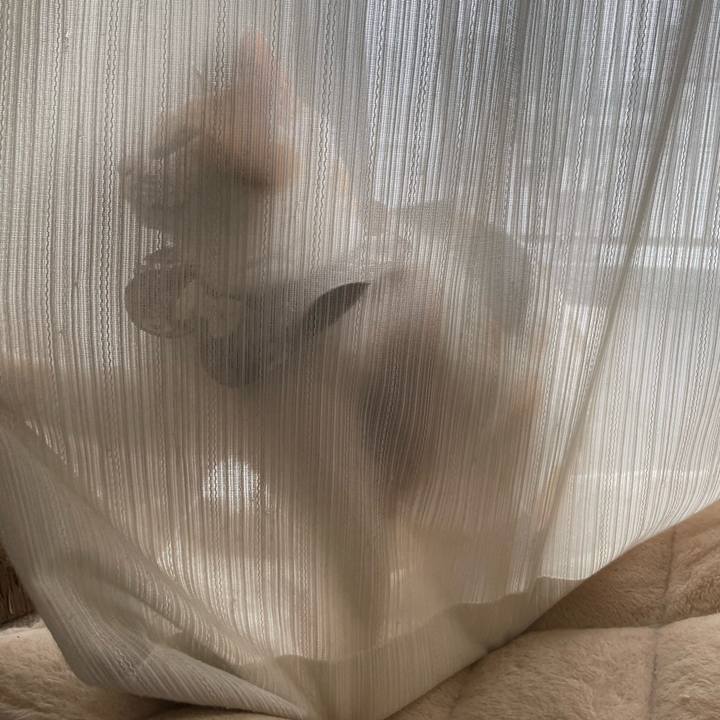 5f599e9e a4b5 45aa 90e3 3b40486d9883 1747543378106