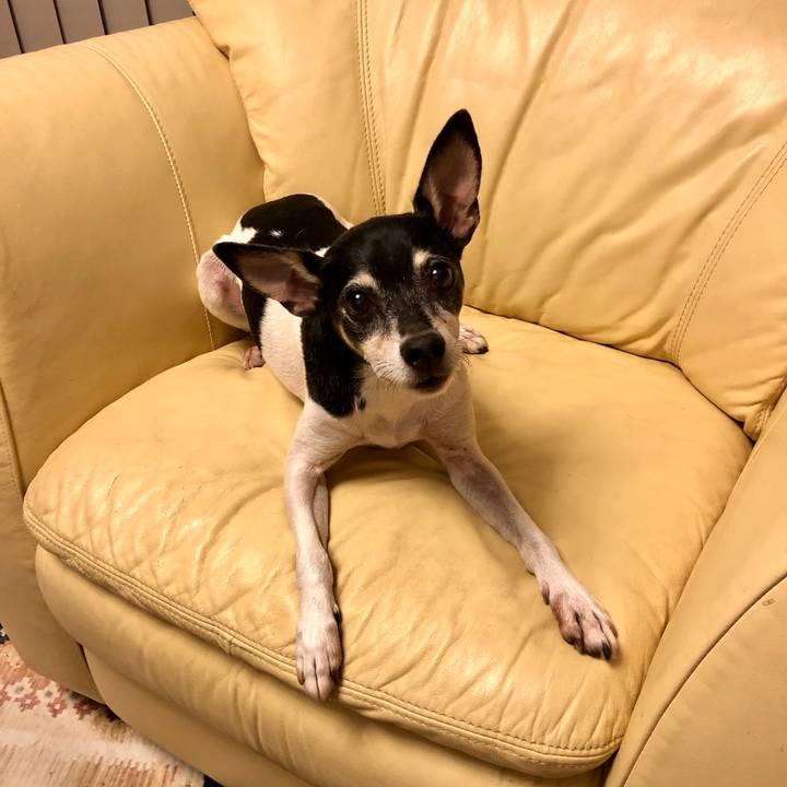 5f59ae76 8502 45cd 9b41 d101463b48be 1570141214698