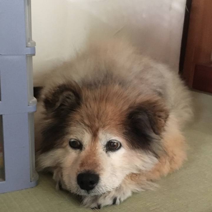 5f59b6e1 2363 44c5 97a7 af2966ee6a0e 1586122169525