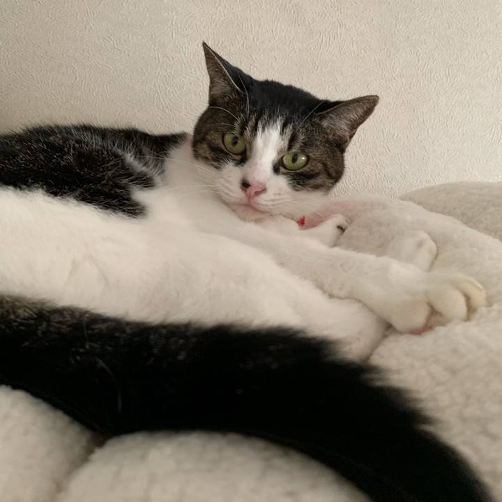 5f59cfdd 064d 4a1b 9327 b1a26e0e6219 1543656118478