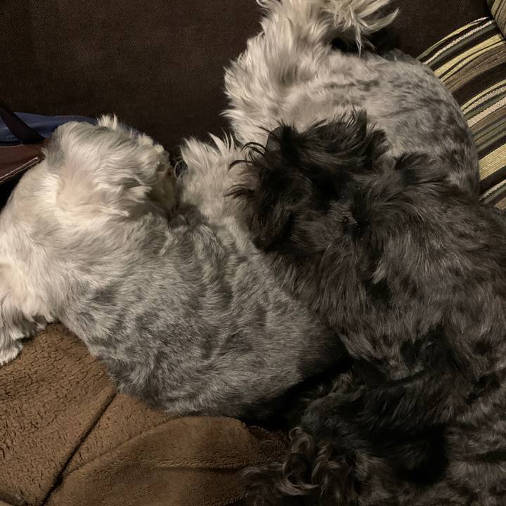 5f59d025 0b1d 4681 a735 f7306802b3f1 1646650316766