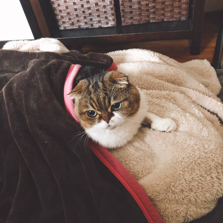 5f59e69f e34b 4369 94bd 96b900cc1f2e 1544067667415