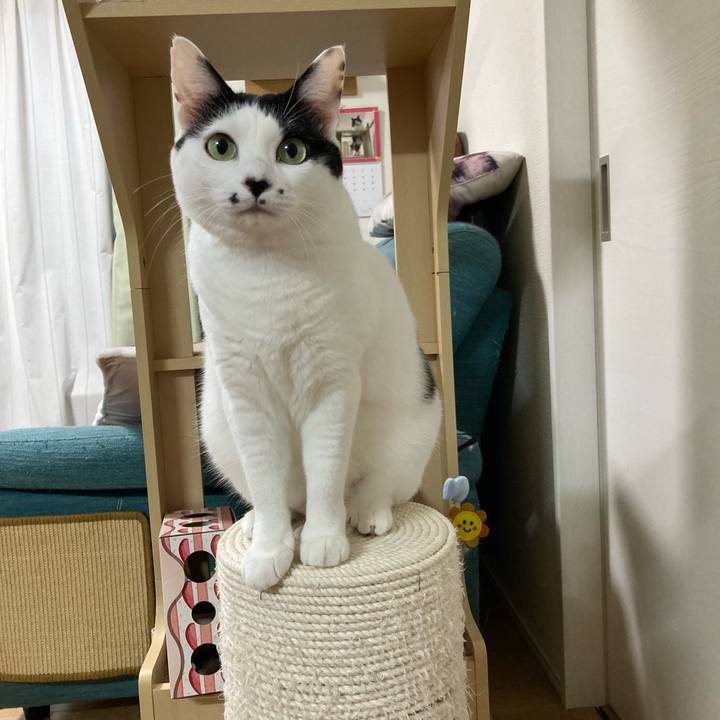 5f59f256 e2e8 40ca b7a4 71bb7a552c55 1758573276355