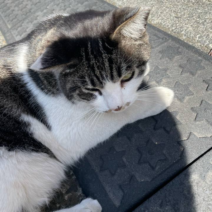 5f5a2909 f78b 42d9 8c44 f1ab29107dba 1614490956289