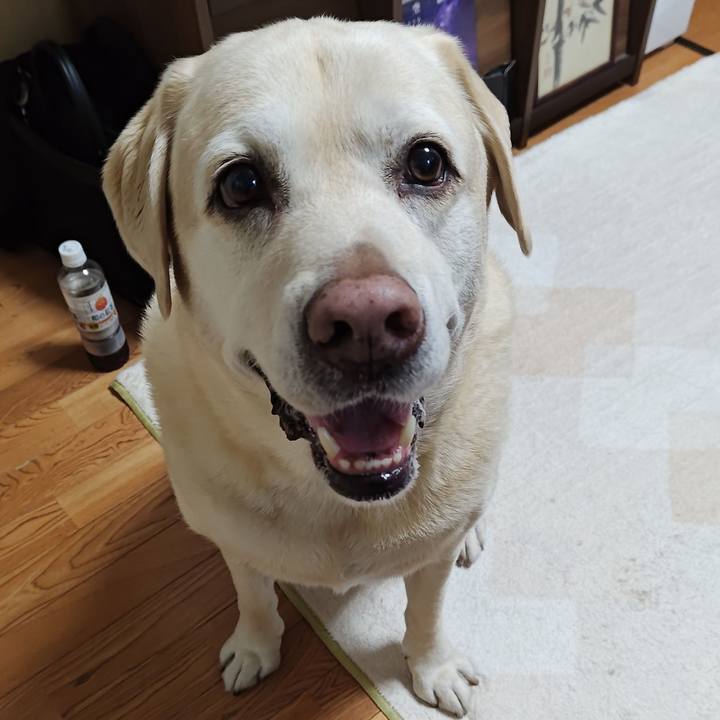 5f5a8f58 f73e 40ce b479 8b6d0d18fc24 1762065394358