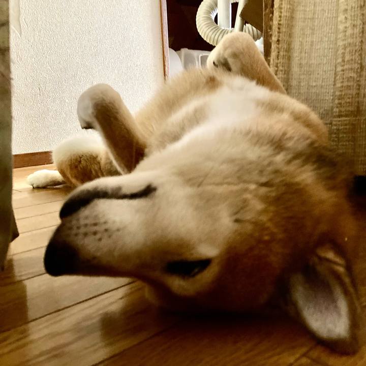 5f5a9d2b 9e16 4a41 8448 d9675471ff04 1721454047521