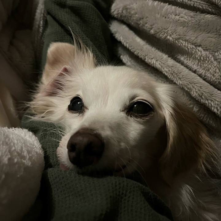 5f5a9d34 d0e3 4e8b 9e68 1a904c438cc2 1732021543022