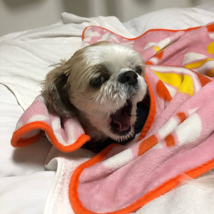 5f5aa526 14d1 42ea af5f 0f7cc3dc433c 1578102491042