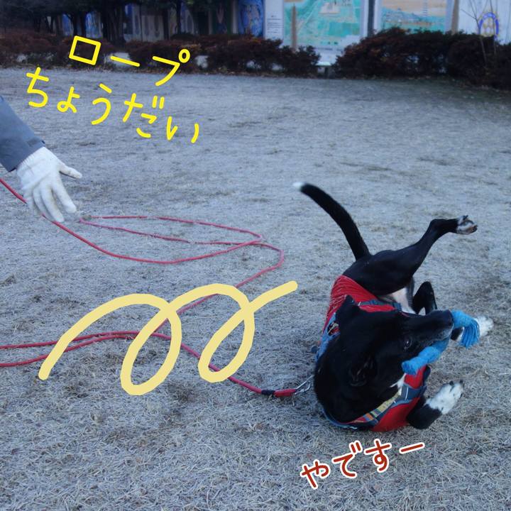 5f5ab4c7 f6ef 4b56 a460 3ba4f84eda5f 1703898813368