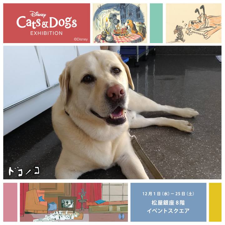 5f5ad159 cd6f 4249 a946 e9f1c24b2416 1638757482734