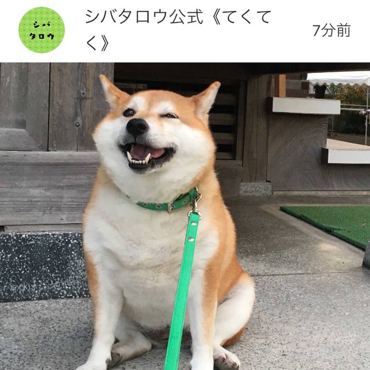 5f5b1767 132d 49ca 9328 84aefbfed0b6 1636454218936