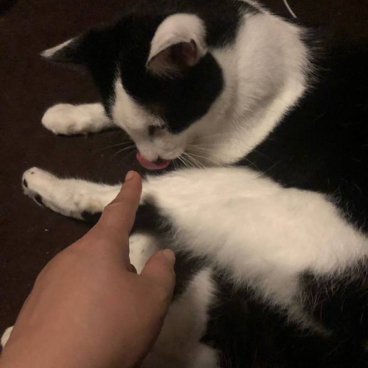 5f5b2983 f0f2 43ec a6db c0c560210837 1593794940932