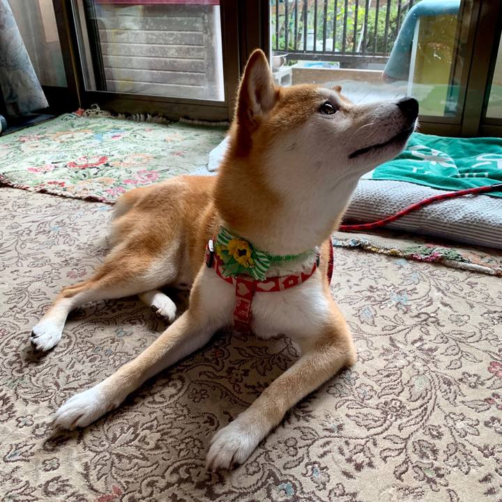 5f5b5d6a f563 449f a6ca 93bba5aaf60f 1566989388659