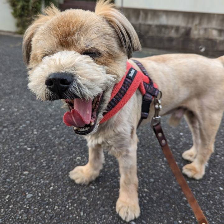 5f5b9028 fd03 4766 ba60 7575ecba5590 1684329478045