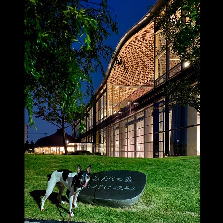 5f5ba334 e002 49dc 98a6 da76418e678d 1596924537672