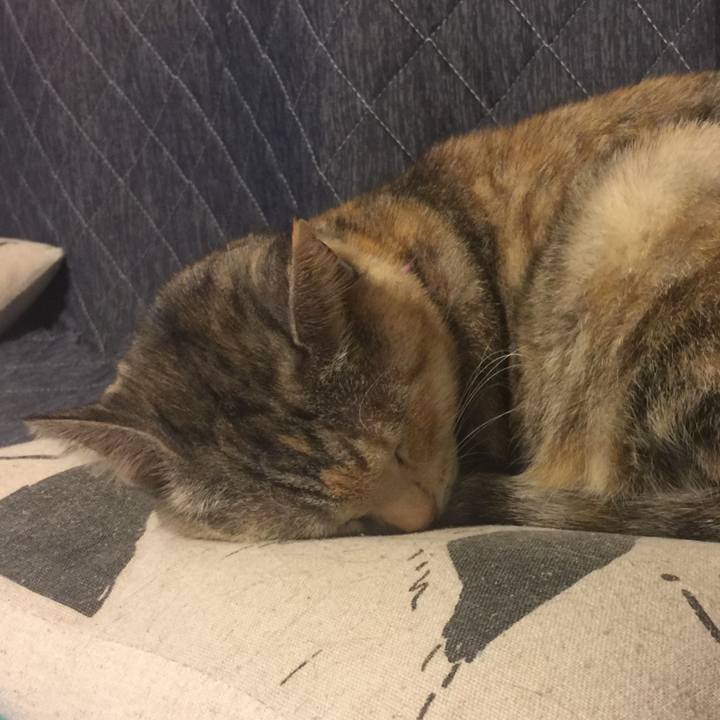 5f5c7602 6026 4680 9ee5 821328b3d567 1547826450554