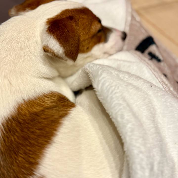 5f5ca6a7 79d6 4c22 b51a aa7433854085 1748783393472