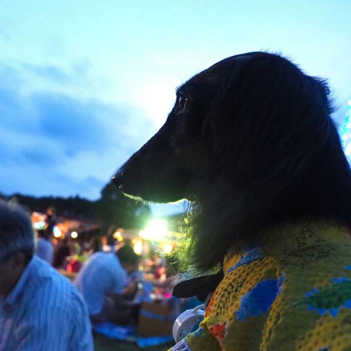 5f5cd4a2 5c8f 4cf5 8a44 8d36b04b8db2 1534156418867