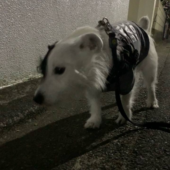 5f5ce949 63be 459b b4c8 99f08234b83a 1653052026448