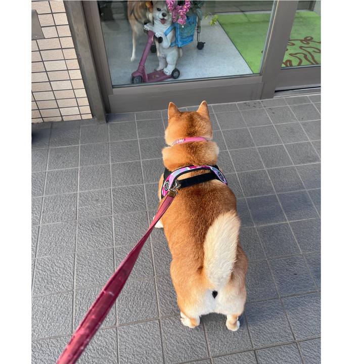 5f5cf404 2c6e 49ee ac23 49c59d98c233 1703765216712