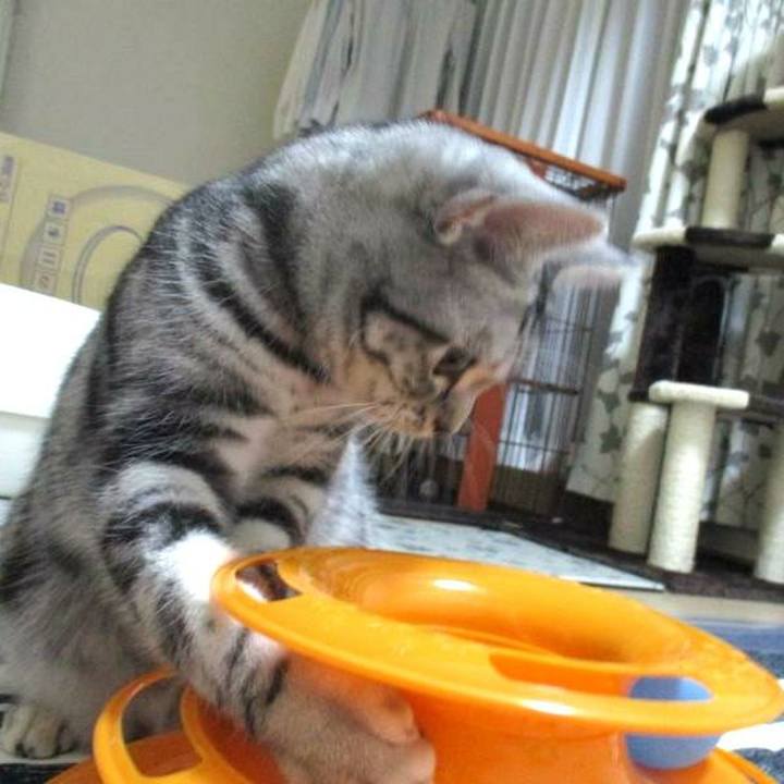 5f5d03de 72f4 4cb2 9486 79dbe1d657b1 1545391996464