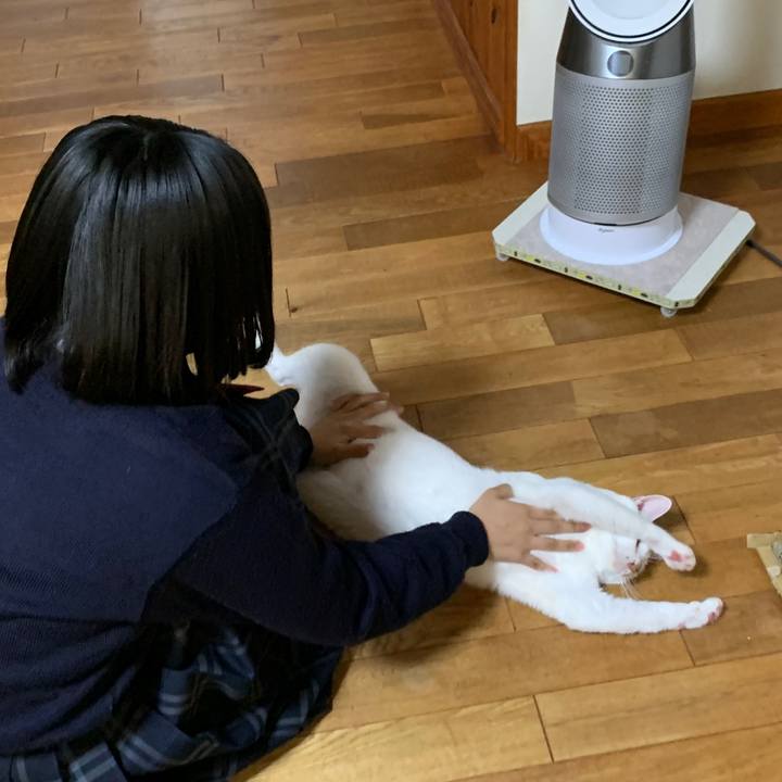 5f5d067b f8c2 4f65 95af 712573b59fc5 1668775548433