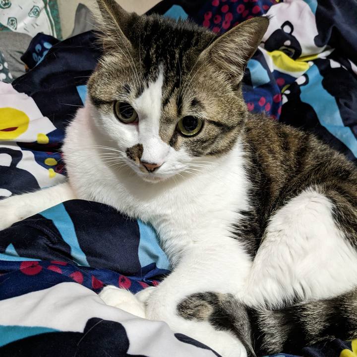 5f5d0873 94dd 4725 ab0b 5c8c28f1b677 1670631185993