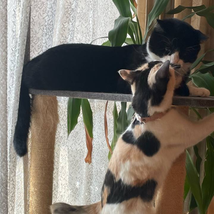 5f5d0baf 6c17 41ff 917c fbf76e5fc292 1753574755930