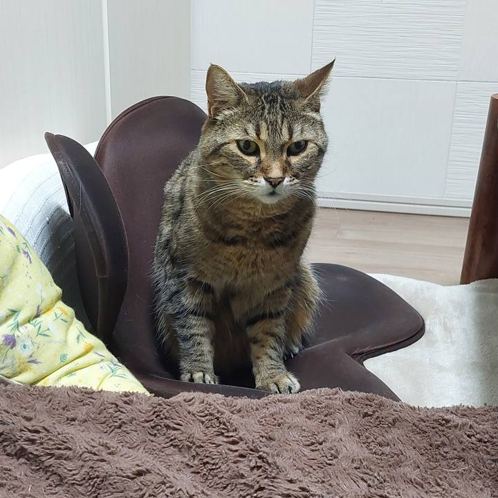 5f5d1ff3 3e86 48de 8574 e4c3af776e81 1771191142464