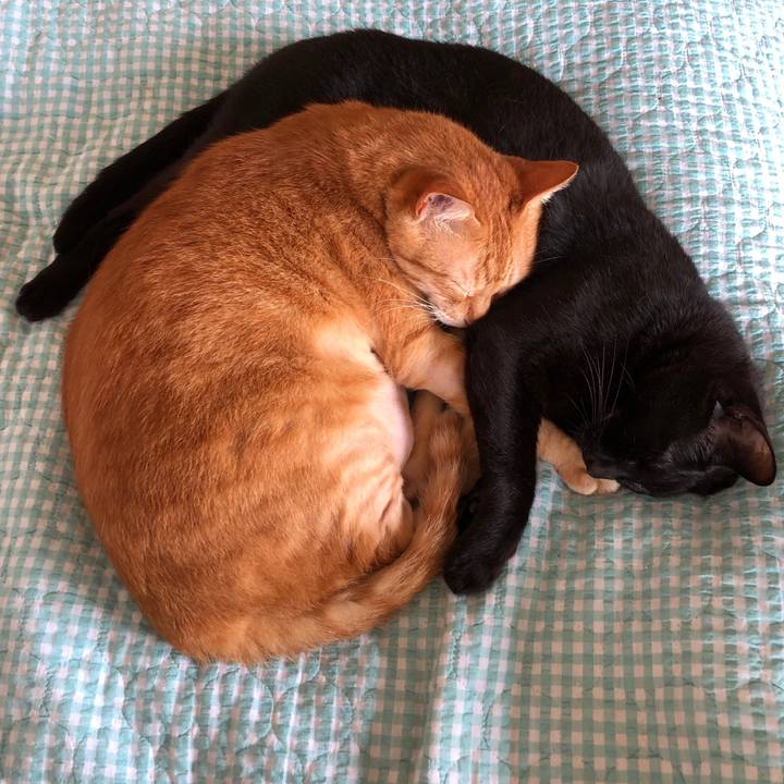 5f5d4614 9abb 4832 a384 fa4a185159f0 1723605162019