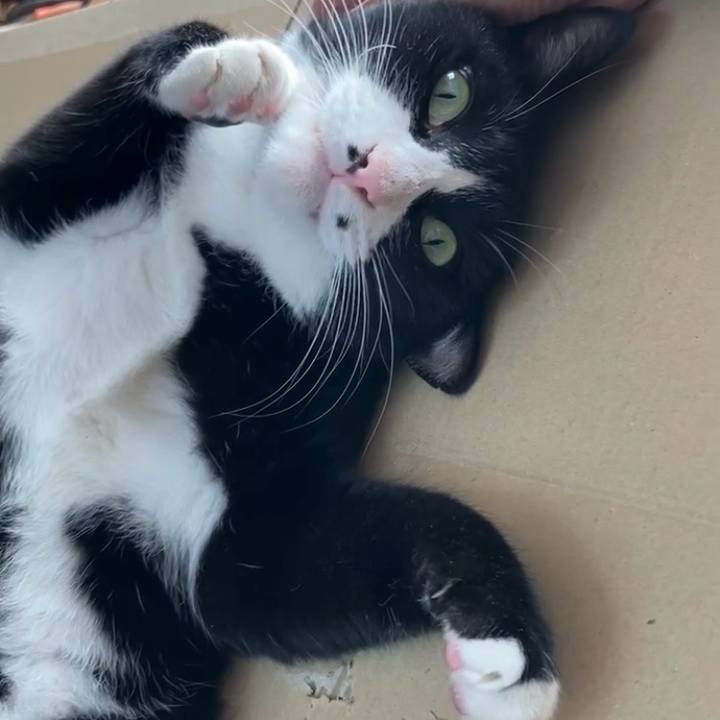 5f5d4d86 1b90 48a0 9b6a 6268dd70ef60 1734919435668