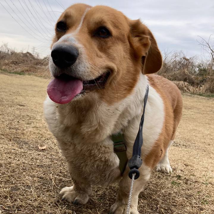 5f5d4fca 822f 48a7 aacd 4a24503a46e4 1741057327058