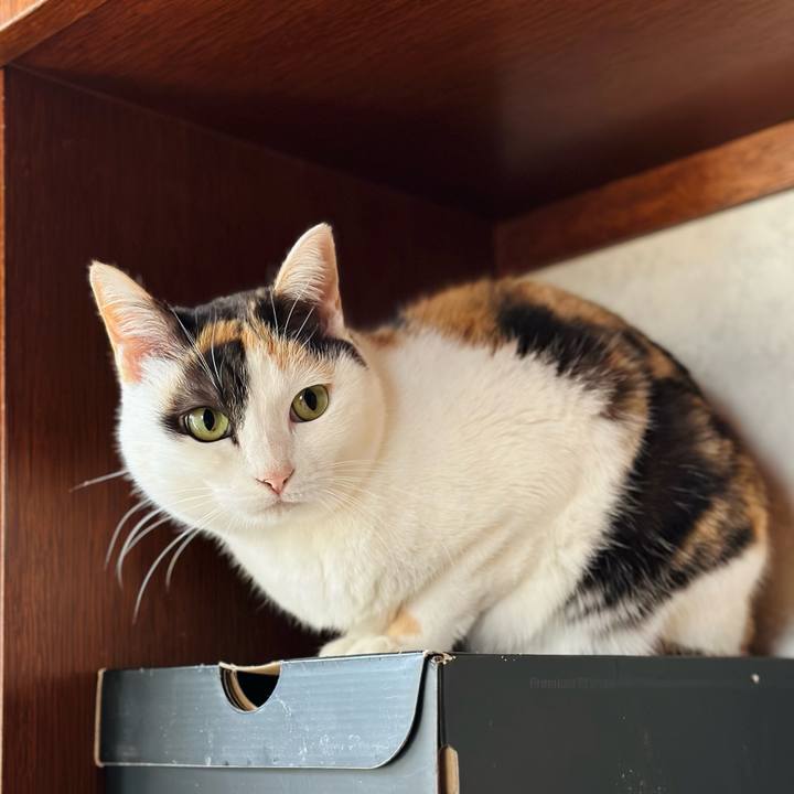 5f5d758a c64d 4c7f 85ea 15ba3e93c7e3 1679622434509