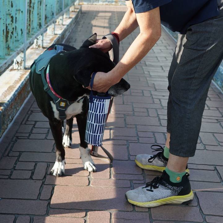 5f5d7d36 101e 45e5 816c d7c9a953a852 1759453020467