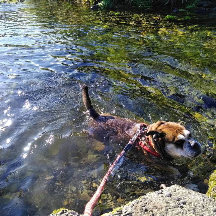 5f5dca6b 760a 485b 826e 0708f33b27f5 1565094791771