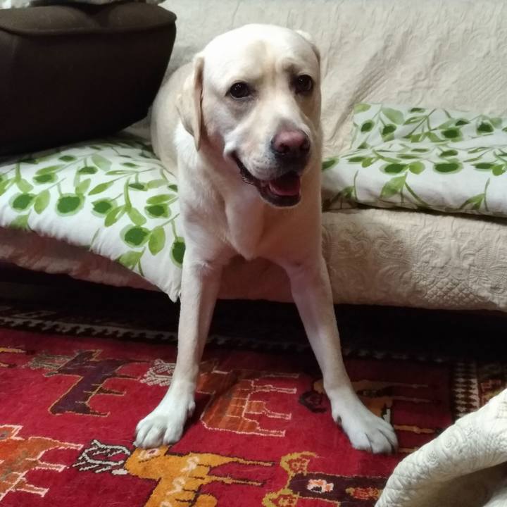 5f5df455 ba35 4f03 8d4e 7bc78513529a 1538790099564