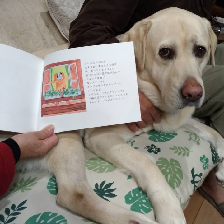 5f5e0441 bc6d 4ea1 89e0 0e85c6b20de9 1638010168001