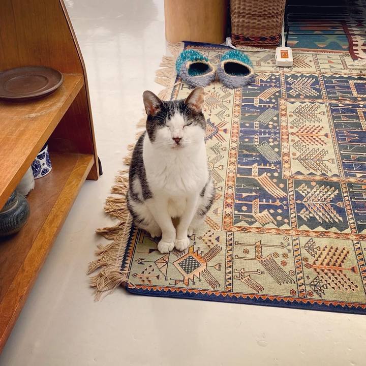 5f5e2c4c 7685 44b7 abe4 3955443fc805 1611557588028