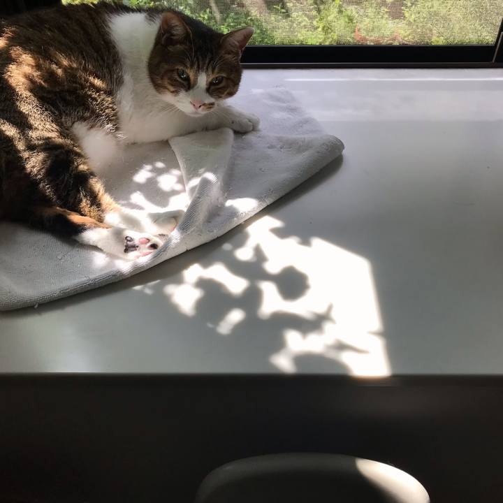 5f5e5bc4 0d00 454d b636 97d5fa0a986b 1626493235180