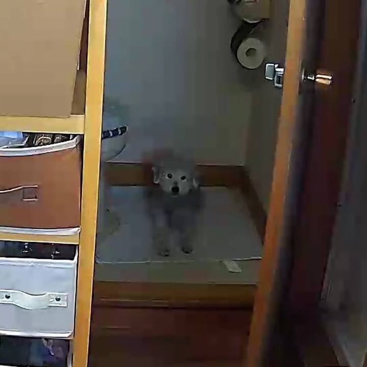 5f5e9542 7e07 41d6 b5b6 918eb67f03f4 1619411305379